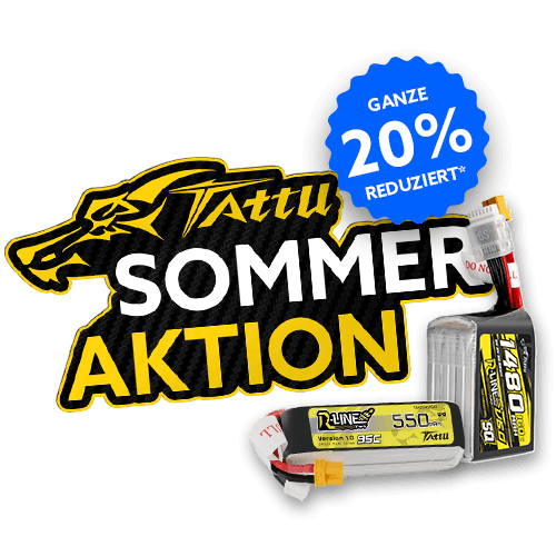 Unsere Tattu Sommer Aktion